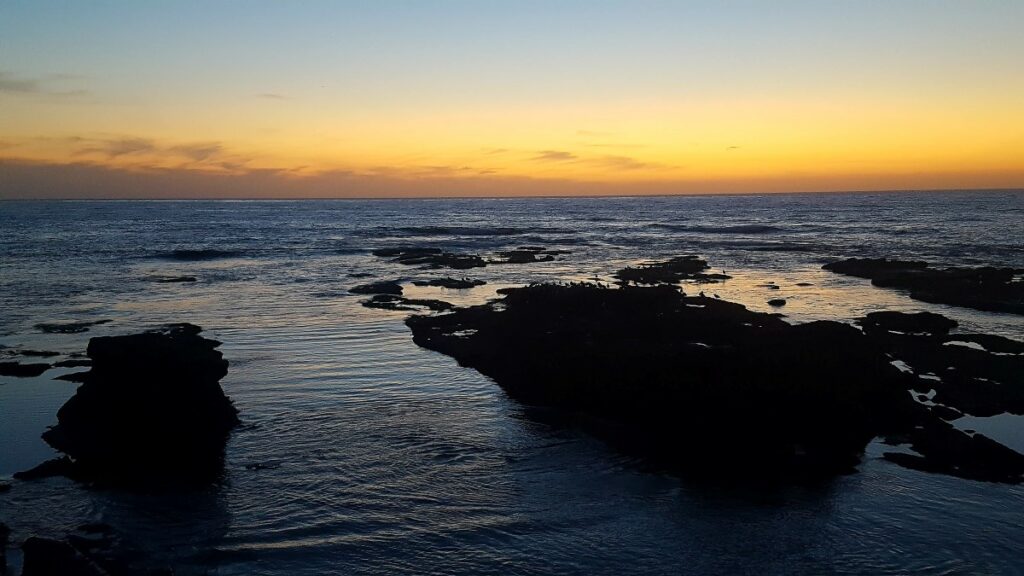 la jolla childrens pool