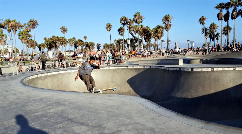 venice beach skateboard park web