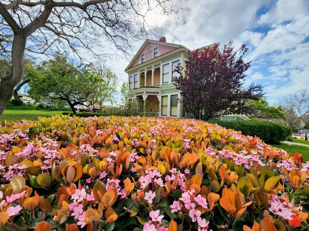 old town flowers